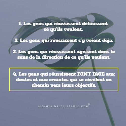 Les gens qui réussissent définissent ce qu'ils veulent, s'y voient déjà, agissent dans le sens ce qu'ils veulent. Les gens qui réussissent FONT FACE aux doutes et aux craintes qui se révèlent en chemin.